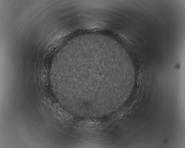 X0000116000917200912101313