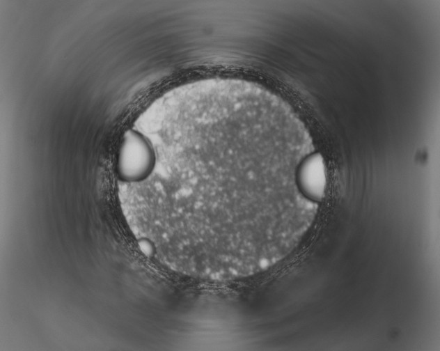 X0000116000918200912101313