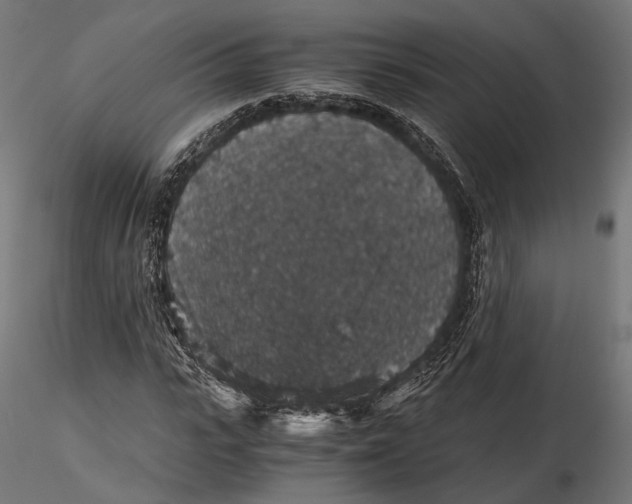 X0000116000919200912101313