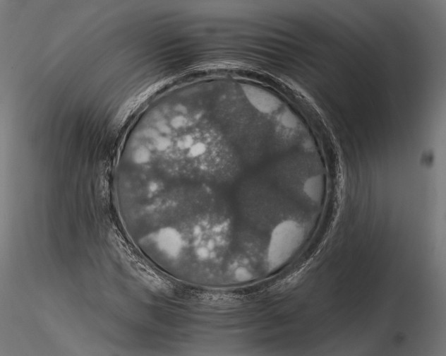 X0000116000921200912101313