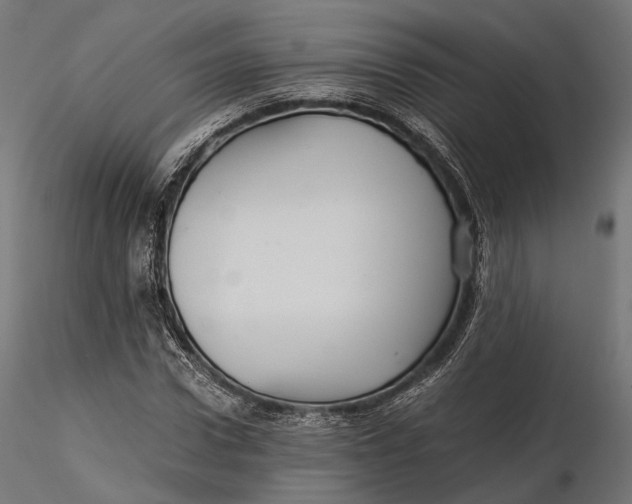 X0000116000922200912101313