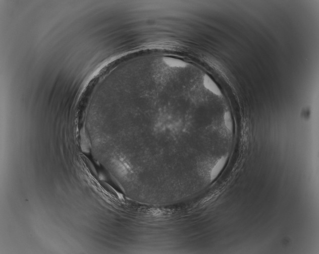 X0000116000923200912101313