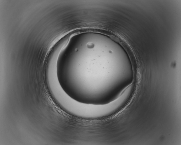 X0000116000925200912101313