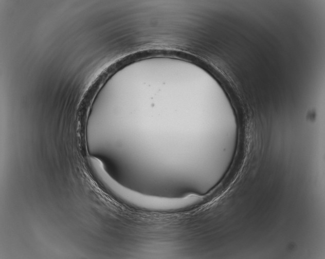 X0000116000926200912101313