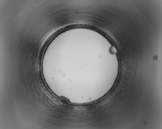 X0000116000927200912101313