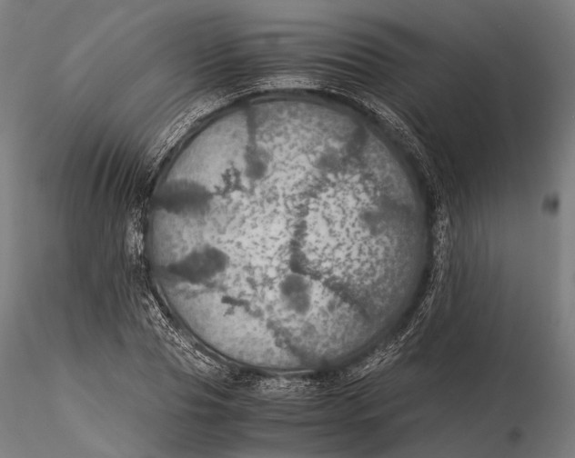 X0000116000929200912101313