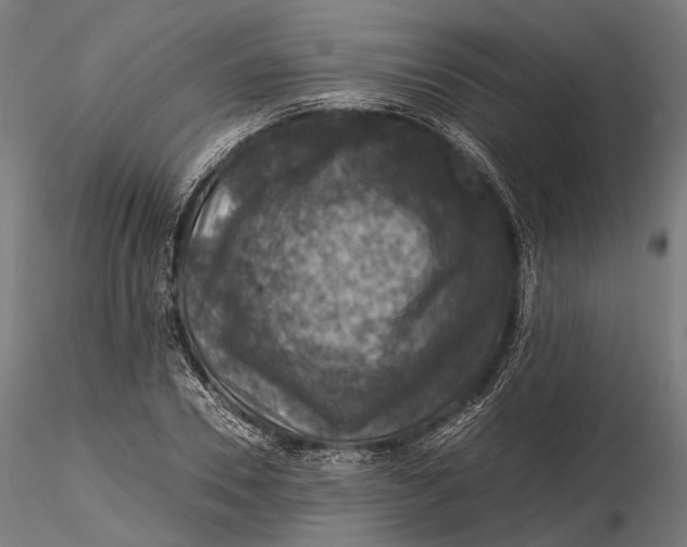 X0000116000930200912101313