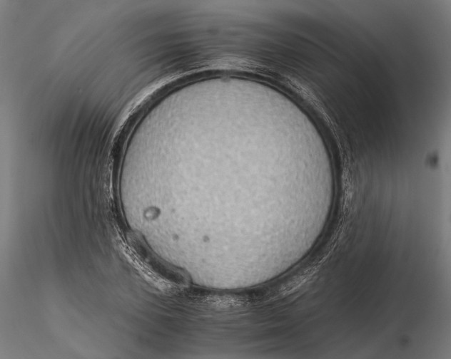 X0000116000931200912101313