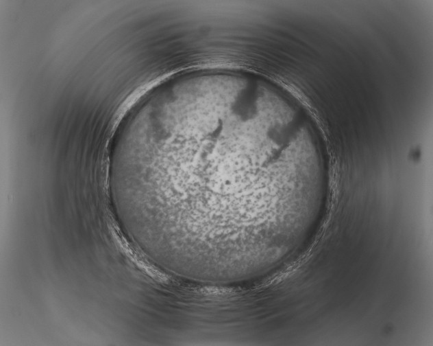 X0000116000933200912101313