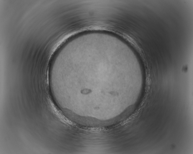 X0000116000934200912101313