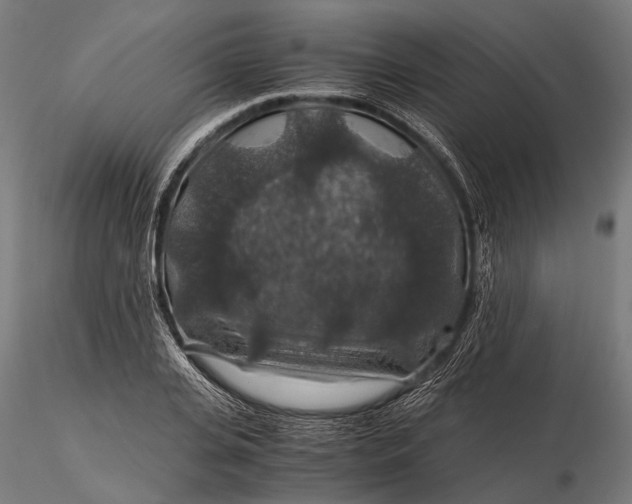 X0000116000935200912101313