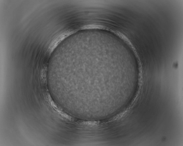 X0000116000937200912101313