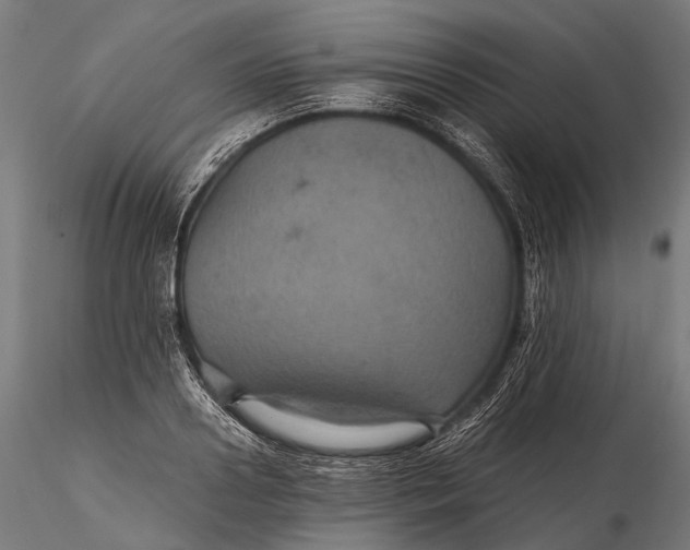 X0000116000938200912101313