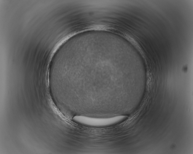 X0000116000939200912101313