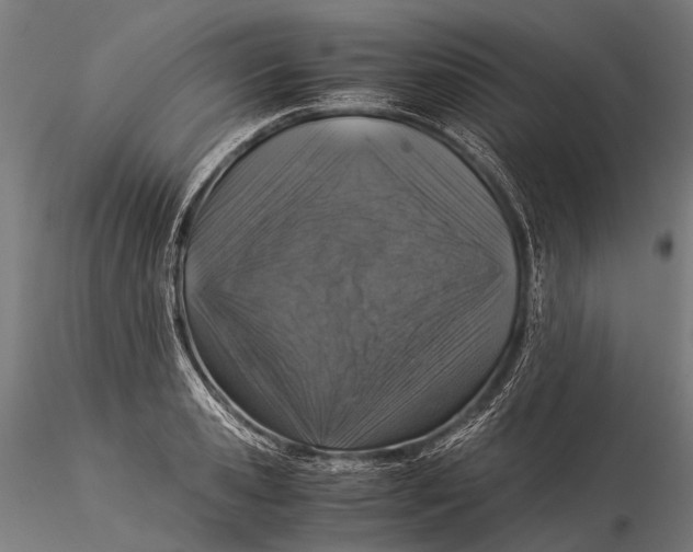 X0000116000941200912101313