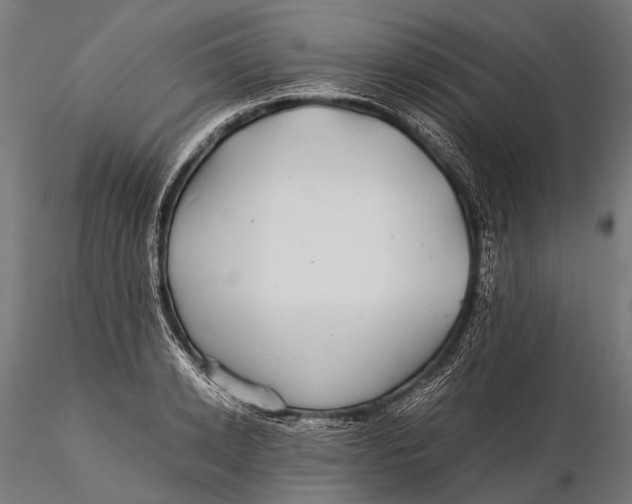 X0000116000942200912101313