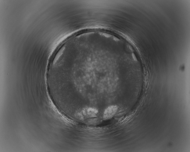 X0000116000943200912101313