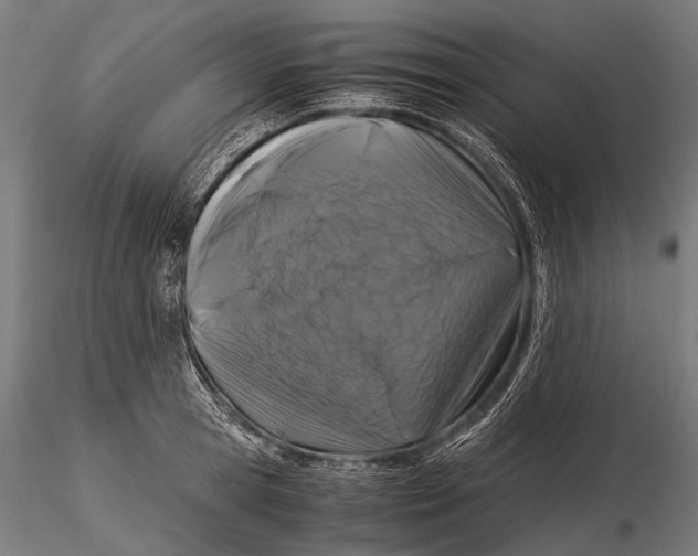 X0000116000945200912101313