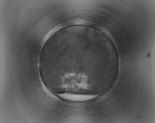 X0000116000946200912101313