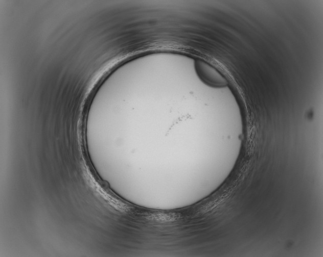 X0000116000947200912101313