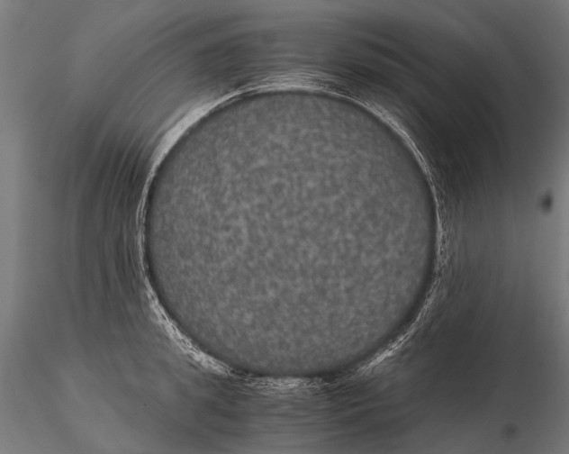 X0000116000949200912101314