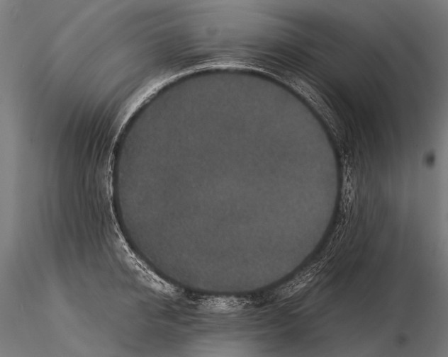 X0000116000950200912101314