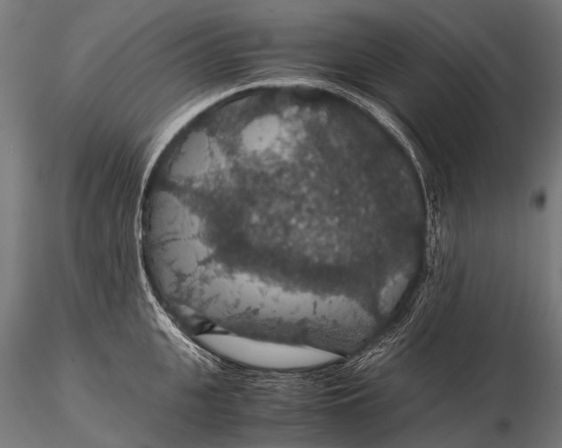 X0000116000951200912101314