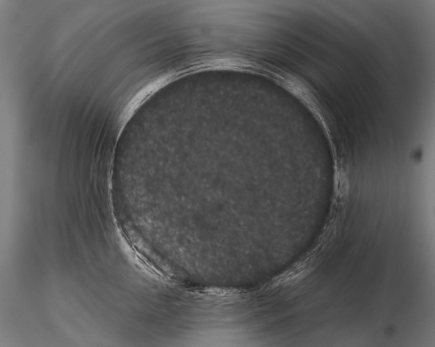 X0000116000954200912101314