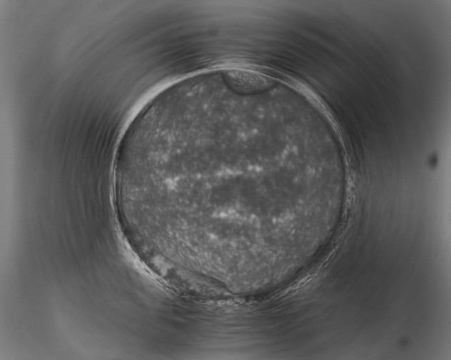 X0000116000955200912101314