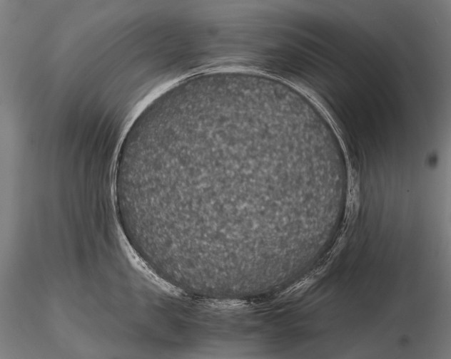 X0000116000957200912101314