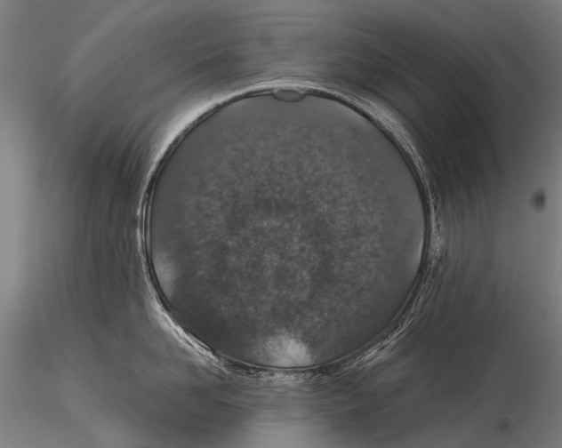 X0000116000958200912101314