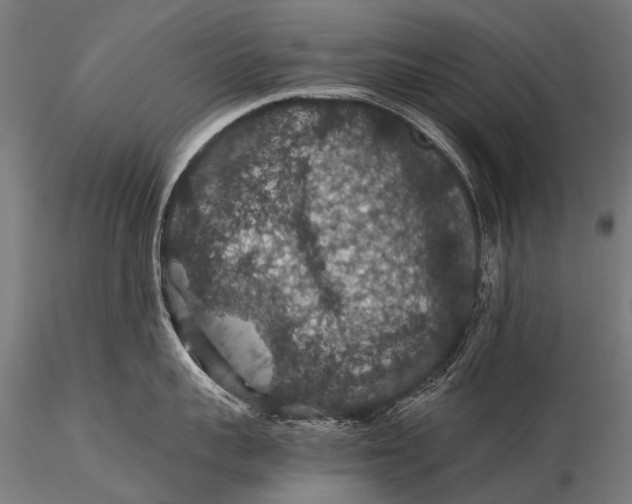 X0000116000959200912101314