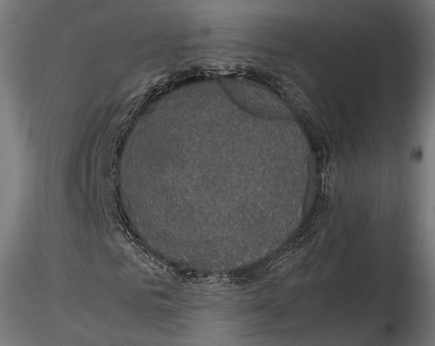 X0000116000961200912101313