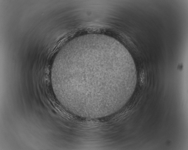 X0000116000964200912101313