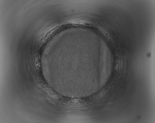 X0000116000966200912101313