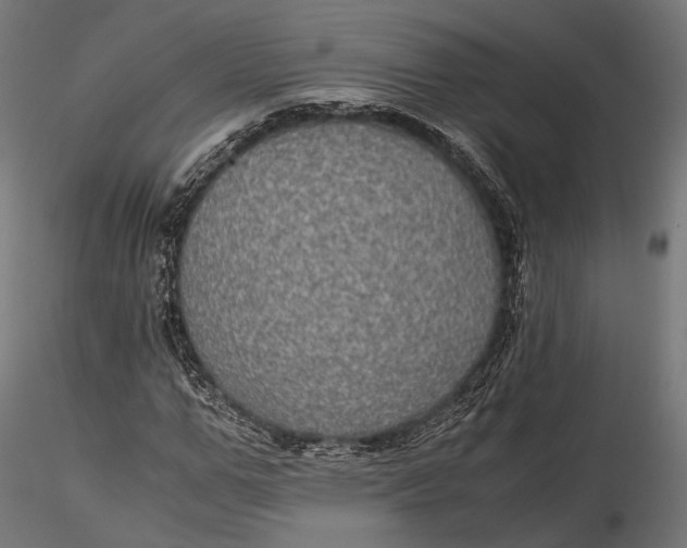 X0000116000967200912101313