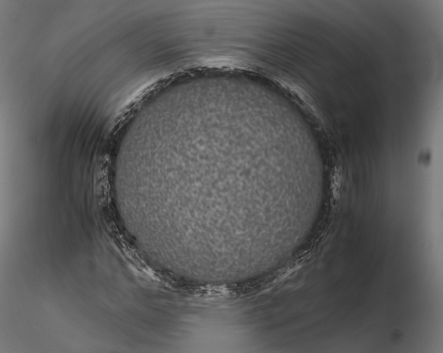 X0000116000968200912101313