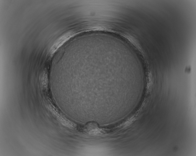 X0000116000969200912101313