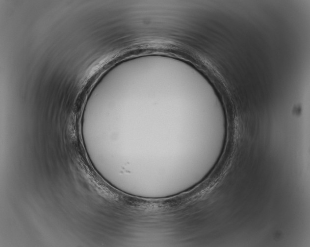 X0000116000970200912101313