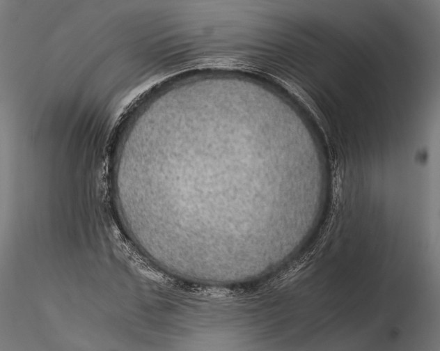 X0000116000971200912101313