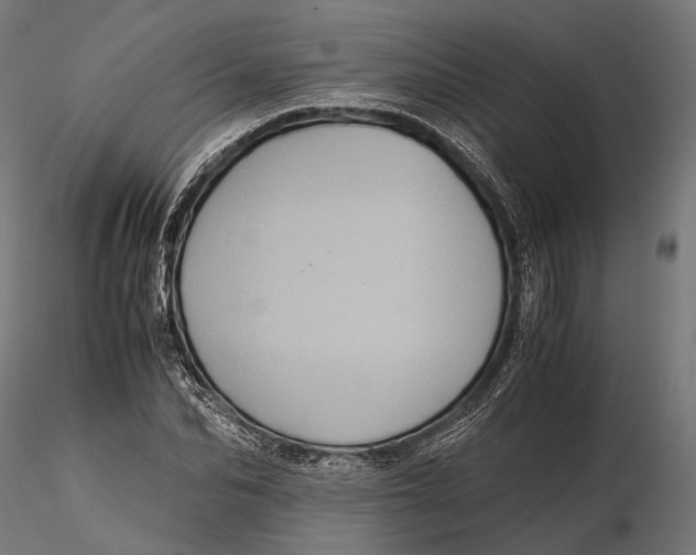 X0000116000974200912101313