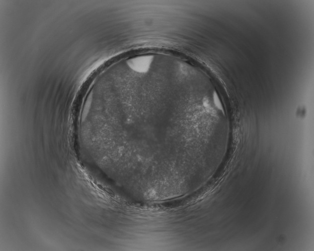 X0000116000975200912101313