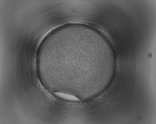 X0000116000976200912101313