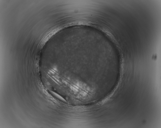 X0000116000977200912101313