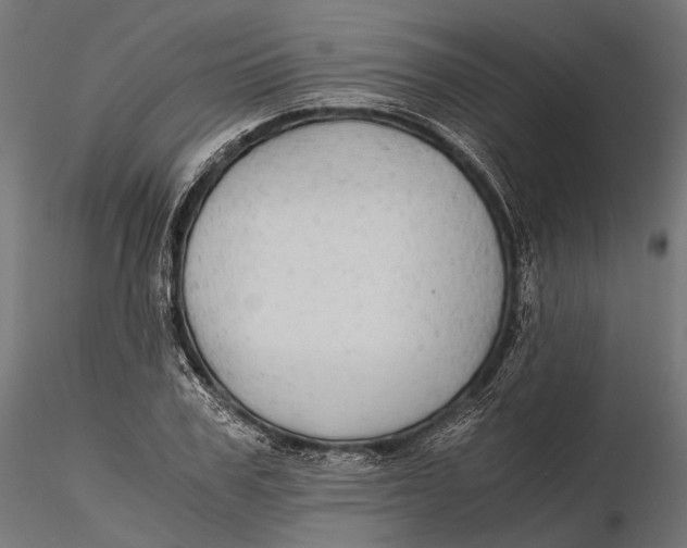 X0000116000979200912101313