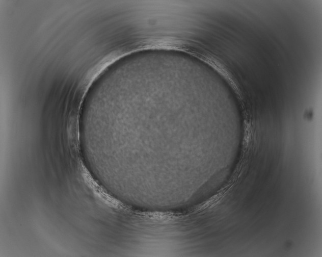 X0000116000980200912101313