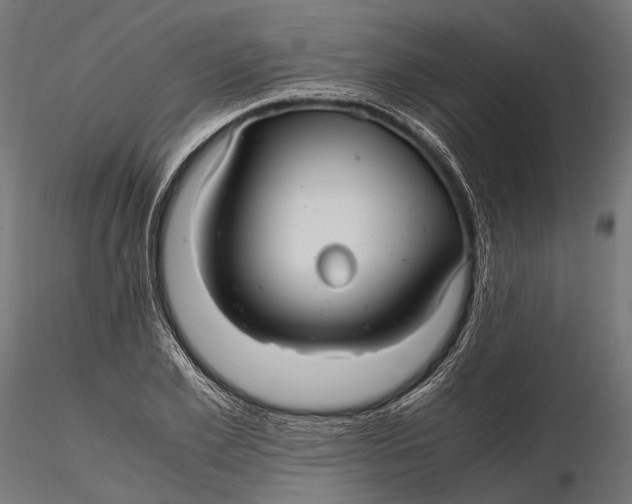 X0000116000981200912101313