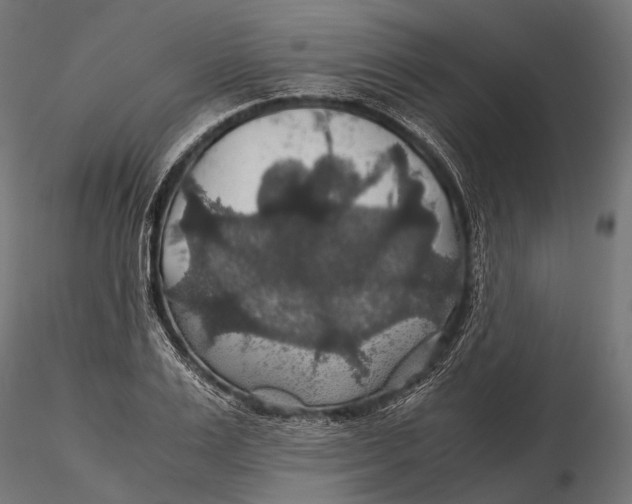 X0000116000983200912101313