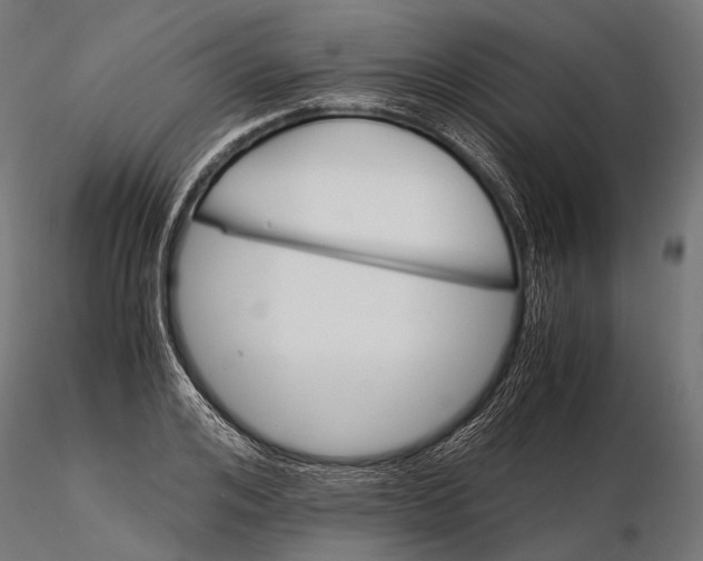 X0000116000984200912101313