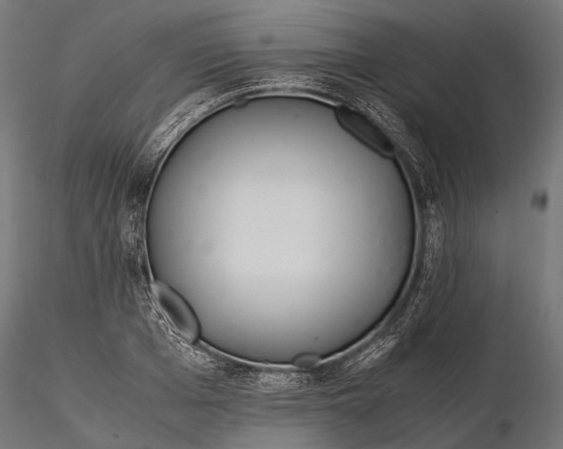 X0000116000985200912101313